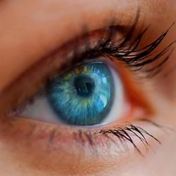 Pótor Optika