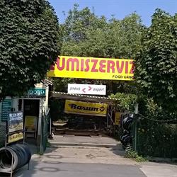 FOGDGUMI Gumiszerviz