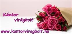 Kántor Virágbolt