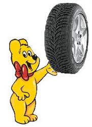Gumi Maci Gumis Műhely