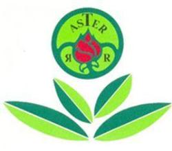 Aster-RR Greenhouses & Plant b.v.