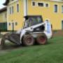 bobcat