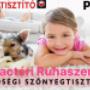 Szőnyegtisztítás
