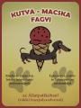 Kutya macska fagyi