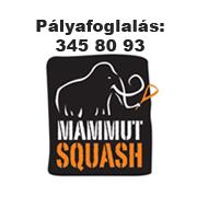 Mammut Squash Center - Mammut i.