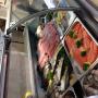 Látogató által feltöltött 2015. 10. 09. - Nyers hal kínált