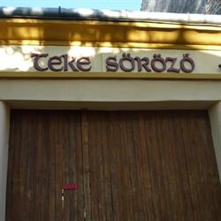 TEKE SÖRÖZŐ