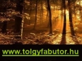 Tölgyfa Bútor Készítő Családi Vállalkozás