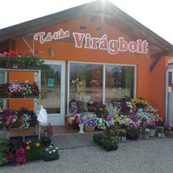 Tá-Tika Virágbolt