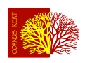 Cornus Kert Kft.