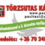 Törzsutas kártya