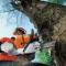 Stihl