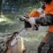 Stihl