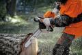 Stihl