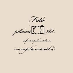 Pillanatart Fotóstúdió