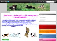 Turul-Völgyi Harcos Németjuhász Kennel