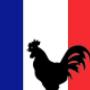 Francia oktatás, fordítás, tolmácsolás