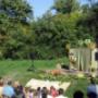 Sümegprága - Gesztenye Fesztivál 2013