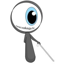 Vakok és Gyengénlátók Szabolcs-Szatmár-Bereg Megyei Egyesülete