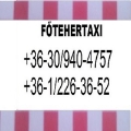 FŐ-TEHERTAXI FUVAR KÖLTÖZTETÉS