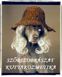 Szőrszobrászat Kutya - Cica És Kisállat Kozmetika