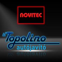il Topolino Autójavító