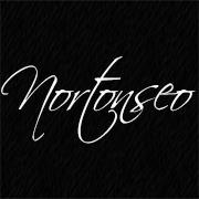 Nortonseo