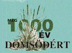 Még 1000 Év Dömsödért Egyesület Khsz.