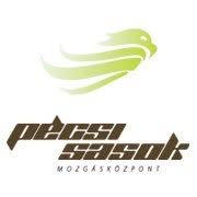 Pécsi Sasok Mozgásközpont