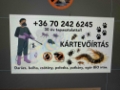 Egészségügyi kártevő irtás