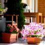 Látogató által feltöltött 2016. 09. 01. - APARTMAN LIPÓT egyéb képek