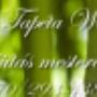http://www.mestertapeta.hu