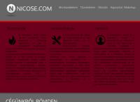 Niche Consulting and Services Kft.