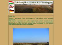 CSUKÁS KFT.