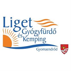 Liget Gyógyfürdő És Kemping