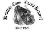 Kratosz Cane Corso Kennel - Schindler László