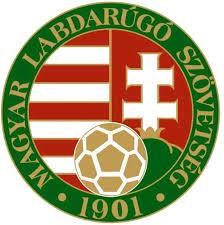 Komárom-Esztergom Megyei Labdarúgó Szövetség