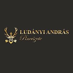 Ludányi András
