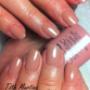 shellac lakkzselé