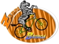 Zebra Bringa Kerékpárkölcsönző