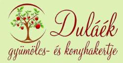 Dula Faiskola