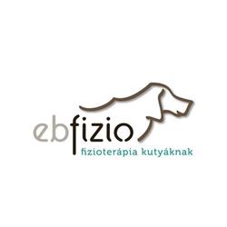 Ebfizio