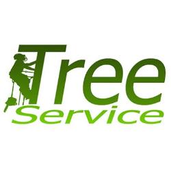 TREE SERVICE kft. - Favágás alpintechnikával