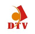 Szereplés a DTV-n