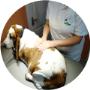Reiki