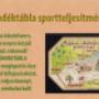 egyedi ajándék sportteljesítményre