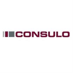 Consulo Kft.