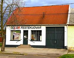 Color Festékudvar Kft.