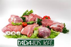 MADA-HÚS KFT.