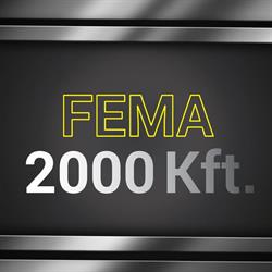 FEMA 2000 Kft.